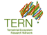 logo-tern